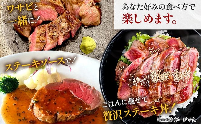 【A4～A5】くまもと黒毛和牛 ヒレステーキ 450g (150g×3枚) 《30日以内に出荷予定(土日祝除く)》 牛肉 くまもと黒毛和牛 黒毛和牛 冷凍庫---sn_fesphr_30d_24_43500_450g---