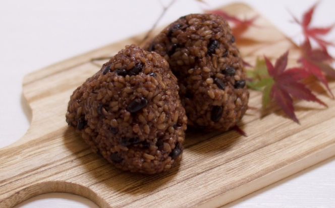 発芽発酵玄米パックご飯 125g×12パック 糸島市産 糸島市 / 糸島の恵み ごはん 米[AGR006]