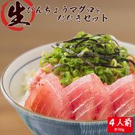 那智勝浦直送！天然もちもち生ビン長まぐろとたたきセット 4人前 ※離島への配送不可