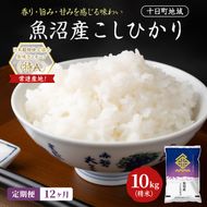 【12ヶ月定期便】魚沼産こしひかり(十日町地域) 精米 10kg(5kg×2) 米 お米 コシヒカリ 定期