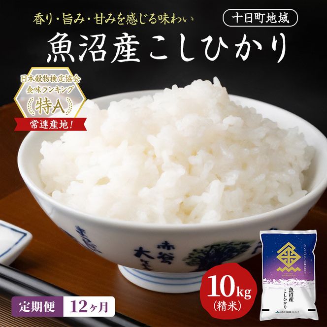 【12ヶ月定期便】魚沼産こしひかり(十日町地域) 精米 10kg(5kg×2) 米 お米 コシヒカリ 定期