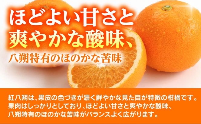 【先行予約】 【訳あり】 紅八朔 約8kg 八朔 はっさく ハッサク 柑橘 果物 くだもの フルーツ 熊本県 八代市 【2027年1月下旬より順次発送】