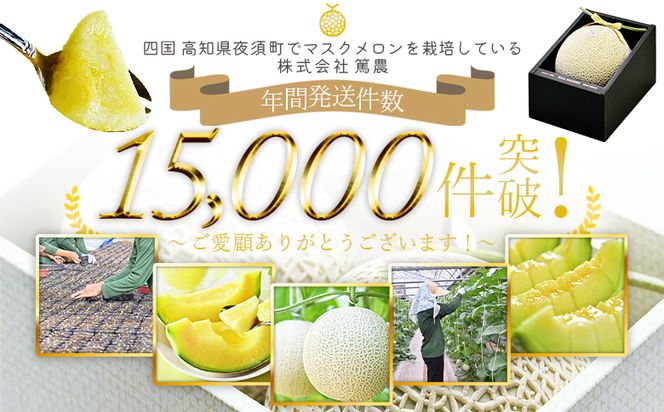 メロン 1玉入り【7日程度で発送】一果相伝マスク 最短配送 送料無料 めろん 青肉 果物 くだもの フルーツ 贈答用 贈答品 贈り物 ギフト 産地直送 篤農 高知県 香南市 常温 tn-0064