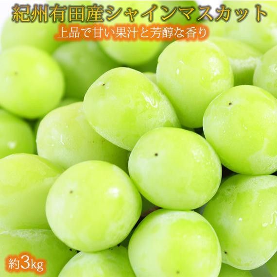紀州有田産シャインマスカット　約3kg【先行予約】【2026年8月下旬以降発送予定】	AN025