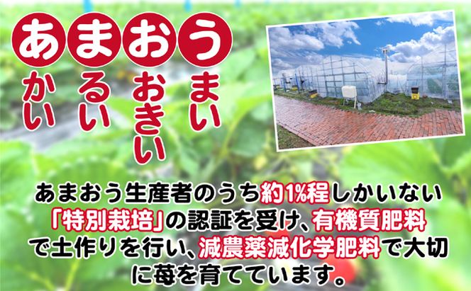 いちご 2027年2月下旬より発送 特選あまおう 400g※配送不可：離島 