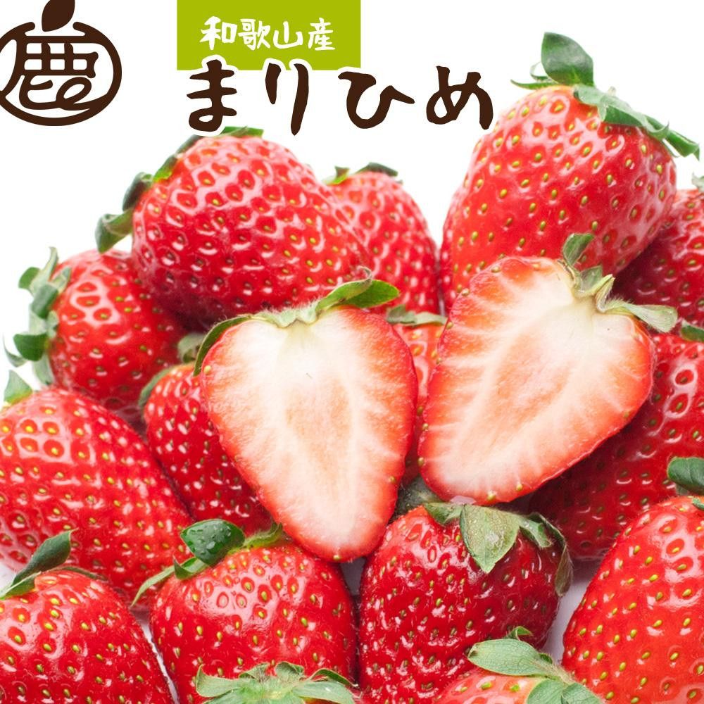 朝摘み完熟まりひめ約600g(300g前後×2トレイ)[和歌山ブランド苺まりひめ][こだわりの土耕栽培のいちごを農家直送][IKE101] 303446_BB90234