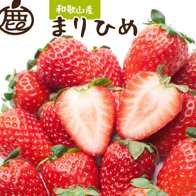 朝摘み完熟まりひめ約600g（300g前後×2トレイ）［和歌山ブランド苺まりひめ］［こだわりの土耕栽培のいちごを農家直送］［IKE101］ 303446_BB90234