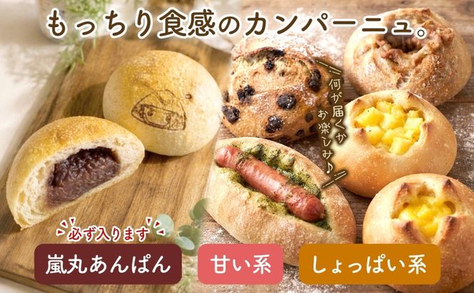おまかせ3種 カンパーニュ （小） セット 各2個 計6個 こだわり ぱん パン あんぱん 朝食 おやつ 小麦 農林61 ふすま 生地 醗酵 濃厚 芳醇 香り もっちり 食感 ハード系 ぱん工房 たろたろ 埼玉県 嵐山町