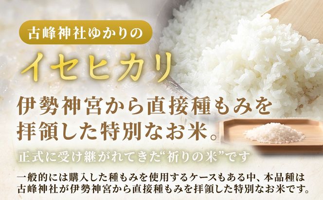 令和7年度産 伊勢ひかり 精米4kg | 白米 栃木 鹿沼市直送