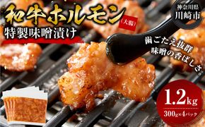 ＜訳アリ＞和牛ホルモン（大腸）　特製味噌漬け　1.2kg(300g×4）【12月発送】【kw0096-0023-12】