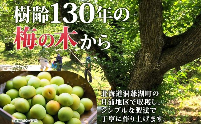 北海道・樹齢130年の梅漬け「しあわせの梅」1kg（200g×5個） 梅干し 漬物 うめ 