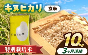 【3回定期便】特別栽培米　キヌヒカリ　玄米　10kg　お米　ご飯　愛西市／株式会社戸倉トラクター[AECS052]