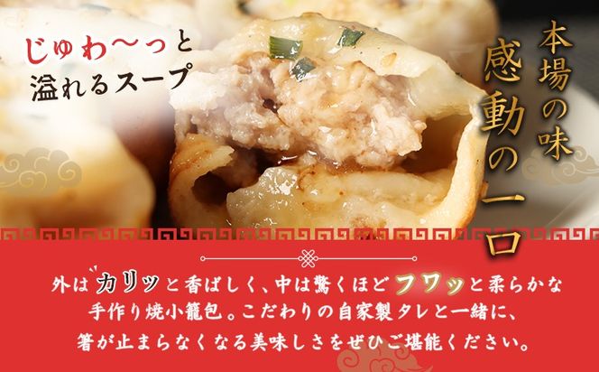 【定期便：3回】【なかしべつミルキーポーク100％使用】 樹苞 焼小籠包36個（約9人前）【53018】