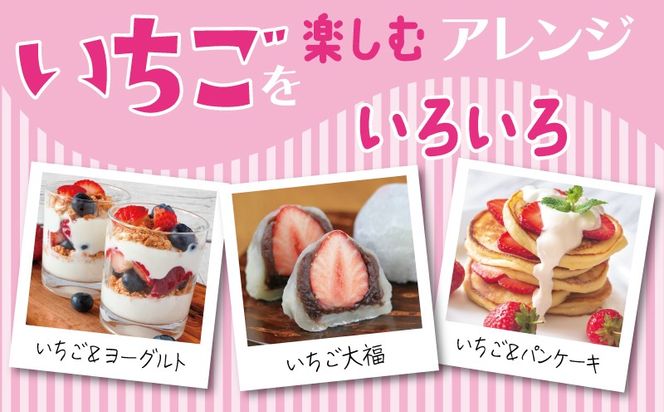 005A359 【特別規格】朝摘み完熟いちご 2パック【化粧箱入り 200g×2P 苺 イチゴ フルーツ 果物】