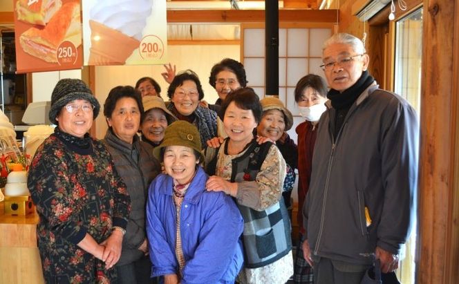 宮城県 岩沼産 産地直送 朝どれ 新鮮野菜 4～5種類 詰め合わせセット