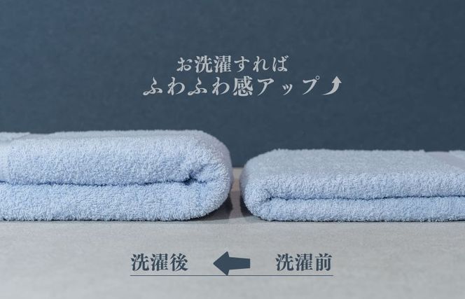 099H3695 カラーバスタオル 4枚 （ブルー）【泉州タオル 国産 吸水 普段使い シンプル 日用品 家族 ファミリー】