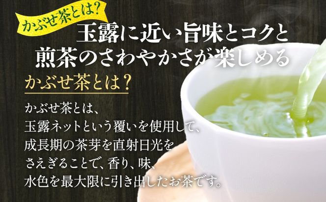 【2025年産】緑茶 星野茶 八女茶 お茶 星野村の八女茶 かぶせ茶 80g×2本 お取り寄せグルメ お取り寄せ 福岡 お土産 九州 福岡土産 取り寄せ グルメ 福岡県