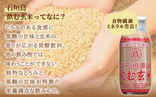 「飲み継がれてきた島の味」石垣島 飲む玄米12本セット 【 沖縄県 石垣市 石垣島 石垣 飲料 玄米 玄米飲料 玄米ドリンク 】HY-1