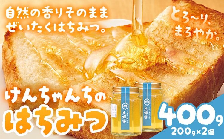 けんちゃんちのはちみつ 200g 2個セット[30日以内に出荷予定(土日祝除く)]ふるさと納税 はちみつ ハチミツ 蜂蜜 国産蜂蜜 天然蜜蜂 徳島県 佐那河内村 送料無料---tsm_mkf6_30d_25_10000_400g---