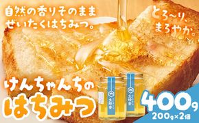けんちゃんちのはちみつ 200g 2個セット《30日以内に出荷予定（土日祝除く）》ふるさと納税 はちみつ ハチミツ 蜂蜜 国産蜂蜜 天然蜜蜂 徳島県 佐那河内村 送料無料---tsm_mkf6_30d_25_10000_400g---