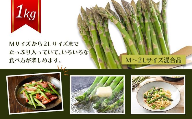 【先行受付】のみやまファームのグリーンアスパラガス（Ｍ～２L以上）1kg【05004】