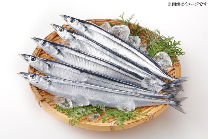 気仙沼産 さんま甘露煮 セット 100g 3パック [仙都食品販売 宮城県 気仙沼市 20566169] 魚 魚介 さんま サンマ 秋刀魚 甘露煮 煮魚 小分け 個包装 お弁当 惣菜 おかず お惣菜 常温