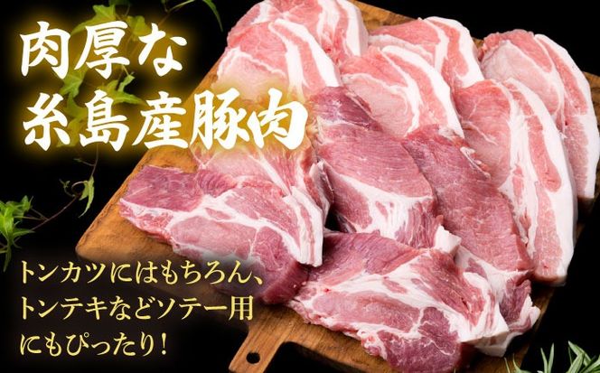 【全3回定期便】糸島産豚ロース肉6枚 肩ロースカツ5枚 合計11枚セット《糸島》【糸島ミートデリ工房】 [ACA229]
