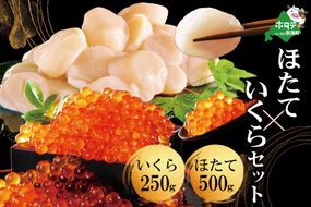 いくら ホタテ 海鮮 セット ！ 北海道 中粒ホタテ 500g（約35粒） & いくら 醤油漬け 250g（野付漁業協同組合）
