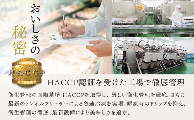 北海道産 いくら醤油漬け 500g & 銀だら味噌漬け 3切 ×1セット | の人気セット! 国産 いくら イクラ 天然 鮭 サーモン 鮭卵 いくら醤油漬 銀だら西京漬け 銀だら 銀鱈 銀ダラ ぎんだら 魚介類 海鮮 絶品 人気 笹谷商店 直営 釧之助本店 高級 ギフト 贈答用 贈答品 北海道 釧路町 釧路超 特産品 121-1920-501