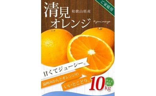 【ご家庭用】手選別 清見オレンジ 約10kg 和歌山県産 2S~2Lサイズ混合※2026年2月上旬～5月中旬頃に順次発送【mrmt039A】