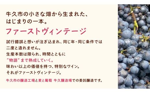 歩wine wild flower2025 ( 750ml ) 日本ワイン 牛久市 ブドウ 自然派ワイン 無濾過 ファーストヴィンテージ マスカット・ベーリーA ビジュノワール メルロー バルベーラ ワイン 酒 赤ワイン わいん