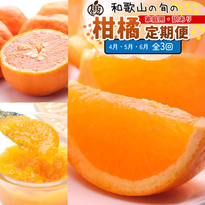 ya̎R쒬zƒp kMi4`6jS3 mIKE311n 303446_BB90220