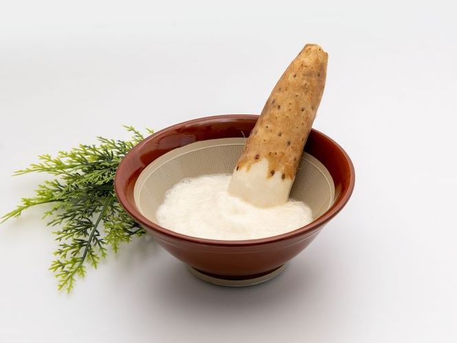 長谷川さんが作った長芋（約5kg） 野菜 根菜 やさい とろろ ながいも 芋 いも 青森県 鰺ヶ沢町