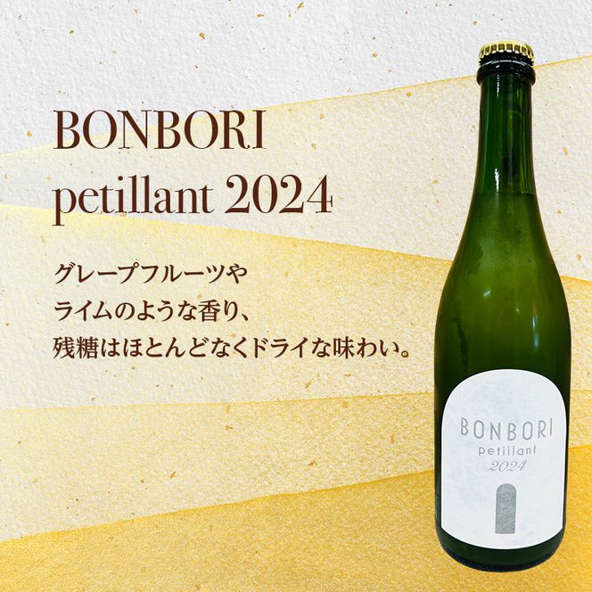 【北海道仁木町 ふるさと納税限定ワインセット】スパークリングワイン 3本セット [ お酒 酒 果実酒 晩酌 葡萄 ぶどう ブドウ 料理 食事 お祝い 北海道 仁木町 飲み比べ ]