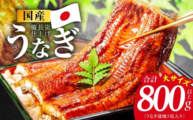 kgp0132 【特別規格】国産うなぎ蒲焼 800g以上（大サイズ5尾）【レンチン 湯煎対応 簡単調理 鰻 ウナギ 人気総菜 日本産 土用の丑の日にも】