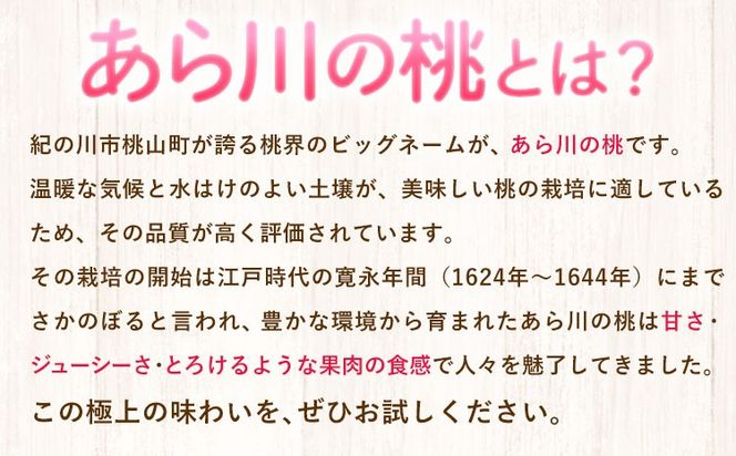 【先行予約】和歌山県産 あら川の桃 秀品 約2kg (5玉～8玉)] 前商店《6月末-8月上旬頃出荷》和歌山県 紀の川市 もも モモ 果物 フルーツ---wsk_cmes4_6m8j_24_15000_2kg---