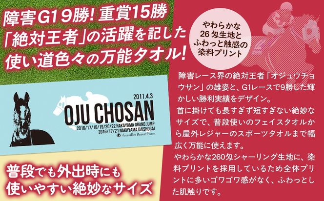 【オジュウチョウサン】シャーリングフェイスタオル BRTV010