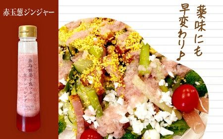 【ドレッシング選手権・地域の味ベスト賞受賞】糸島野菜を食べる生ドレッシング 赤玉葱 ジンジャー 1本 糸島市 / 糸島正キ [AQA044] ドレッシング 調味料 ボトル 玉ねぎ しょうが 野菜 サラダ 生ドレッシング