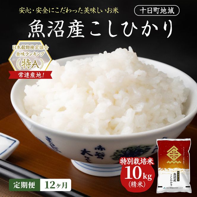 【12ヶ月定期便】特別栽培米 魚沼産こしひかり(十日町地域) 精米 10kg(5kg×2) 米 お米 コシヒカリ 定期 十日町市