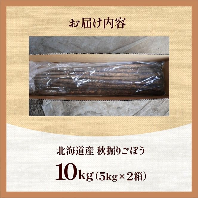 先行受付！2026年10月頃～発送開始！北海道十勝清水町産 秋堀り 新鮮 ごぼう！ 10kg 北海道産 ごぼう 土付ごぼう ゴボウ 根菜_S045-0004