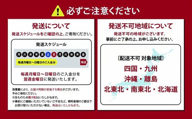 日本初 完全陸上養殖 静岡県小山町産 フジアトランティックサーモン 生 ・冷蔵 4～5P 約1kg