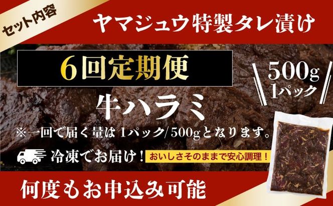 ヤマジュウの特製タレ漬け！牛ハラミ肉５００ｇ【６回定期便】_yj089