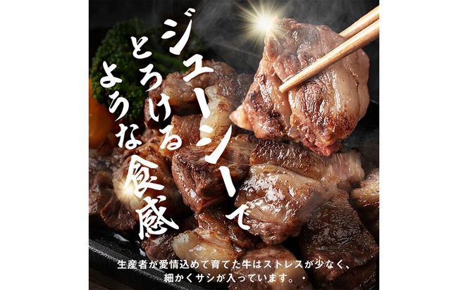 【数量限定】国産和牛コロコロ不揃い焼肉(計500g) a1-135