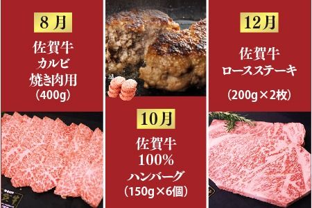 【偶数月発送 全6回定期便】ALL佐賀牛定期便【サーロインステーキ 赤身焼き肉 ハンバーグ カルビ焼肉 100%ハンバーグ ロースステーキ バラエティ豊か】(H118112)