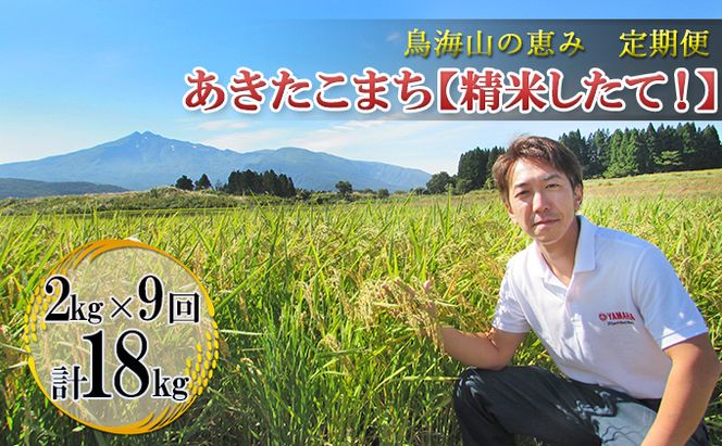 米 お米 《定期便》2kg×9ヶ月 鳥海山の恵み！秋田県産 あきたこまち ひの米（精米）計18kg（2kg×9回連続） ご飯 白米 主食 ライス 釜ヶ台 国産 おにぎり お弁当 お届け
