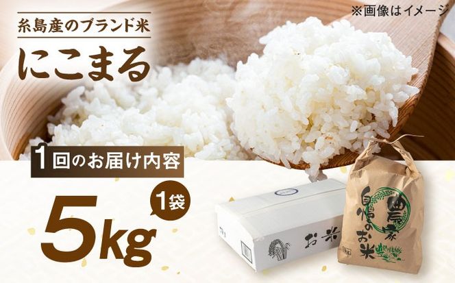 【全12回定期便】 にこまる 玄米品質1等米 白米 5kg 糸島市産 糸島市 / 糸島の恵み コメ こめ ご飯[AGR010]