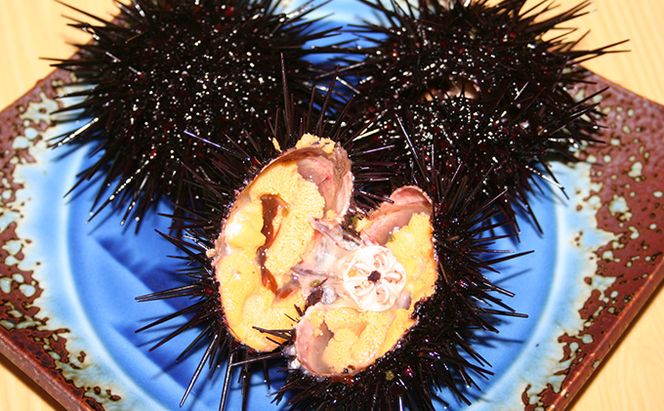 北むらさきうに缶詰（蒸しうに）100g ×3缶 ウニ 雲丹 うに うに缶 北海道 魚貝類 加工食品 