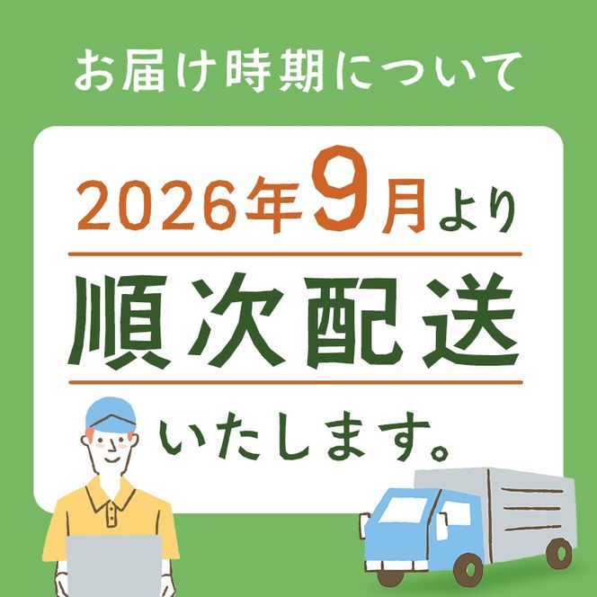 【先行予約】北海道 ポテトチップス 塩 のり塩 コンソメ 食べ比べ 3種 12袋 計36袋 セット 菓子 ポテト スナック おやつ ポテチ のりしお うす塩 じゃがいも ジャガイモ お取り寄せ まとめ買い 詰め合わせ 詰合せ 送料無料 十勝 士幌町【N01】