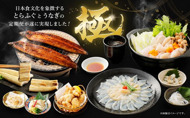 【2回定期便】【極】季節めぐり定期便3 ふぐ フグ 河豚 とらふぐ トラフグ てっさ てっちり うなぎ ウナギ 鰻 熊本県 上天草市