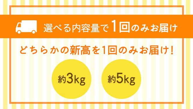 ＼選べる 内容量／新高 約3kg・約5kg【2026年10月より発送開始】（茨城県共通返礼品 [梨]：大子町産） 高糖度 ギフト 贈り物 プレゼント フルーツ なし ナシ 和梨 梨 果実 旬のフルーツ お取り寄せ くだもの 果物 みずみずしい